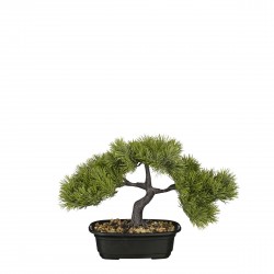 Bonsai Pin En Pot Vert En...