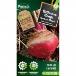 Betterave de Detroit