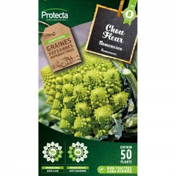 Chou Fleur Romanesco 