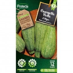 Courgette petite verte d'Alger