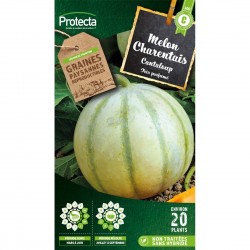 Melon Canteloup Charentais