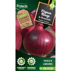 Oignon rouge de Brunswick