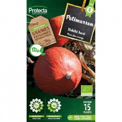 Potimarron Ushiki kuri BIO