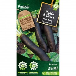 Radis d'hiver noir long...