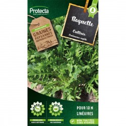 Roquette Cultivée 