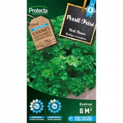 Persil Frisé vert fonçé
