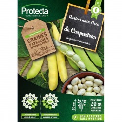 Haricot nain COCO à écosser...