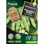 Haricot nain COCO à écosser...