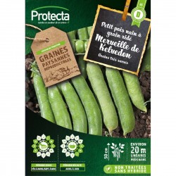 Pois nain à grain ridé...