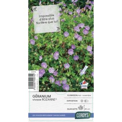 GERANIUM Rozanne® mauve...