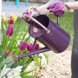 Arrosoir 4.5L Violet GROZONE