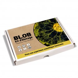 Blob Kit D Elevage Physarum...