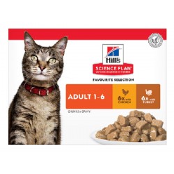 Multipack chat HILL'S...