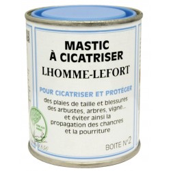LHOMME-LEFORT SOINS AUX...
