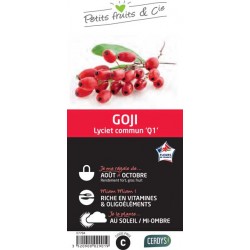 GOJI 'Q1' C1.5L PETITS...