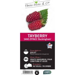 TAYBERRY 'Buckingham' C1.5L...