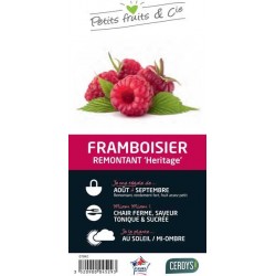 FRAMBOISIER 'Heritage' RM...