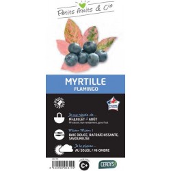 MYRTILLIER 'Flamingo' C1.5L...