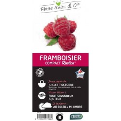 FRAMBOISIER Rustica® C1.5L...