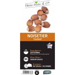 NOISETIER 'Cosford' C1.5L...