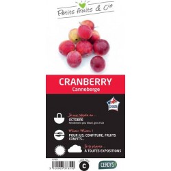 CRANBERRY C1.5L PETITS...