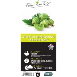 GROSEILLIER maquereau...