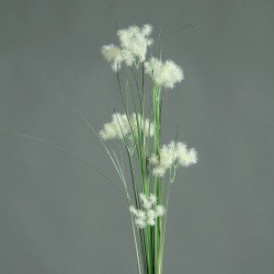 Tige Herbes  Crème H93