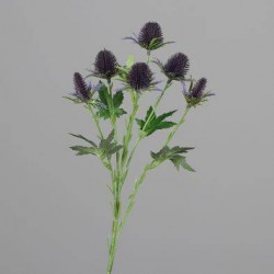 Tige Chardon  Lilas H57