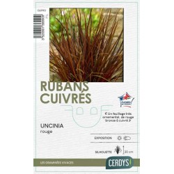 UNCINIA rubra C1L LES...