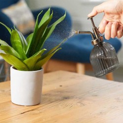 Vaporisateur de Plantes...