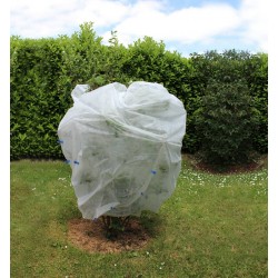 Voile d'hivernage 30g/m2 2X10M