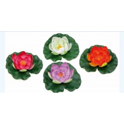 Pontec pondolily blanc