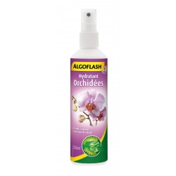 Hydratant Orchidee...