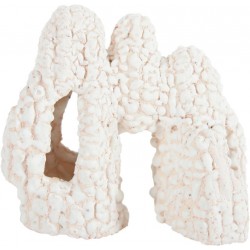 ZOLUX KORAL Arche mod1...