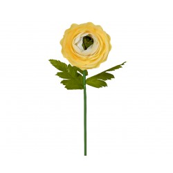 Tige De Renoncule Jaune En...