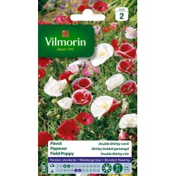 VILMORIN PAVOT Double...