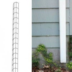 Colonne tomate gouttiere...