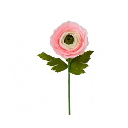 Tige De Renoncule Rose Doux...