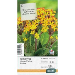 PRIMULA 'Oakleaf Yellow...
