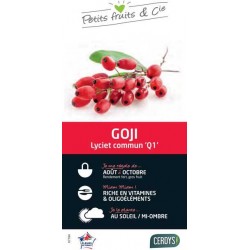 GOJI 'Q1' C3L PETITS...