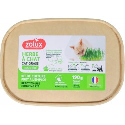 HERBE À CHAT ESSENTIAL Kit...