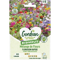 GONDIAN...