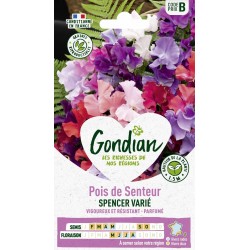 GONDIAN Pois de Senteur...