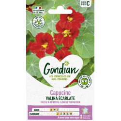 GONDIAN Capucine VALINA...