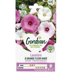 GONDIAN Lavatère À GRANDE...