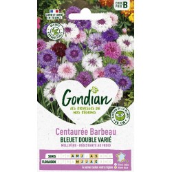 GONDIAN Centaurée Barbeau...