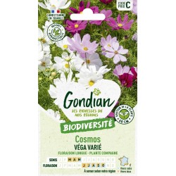 GONDIAN BIODIVERSITÉ-Cosmos...