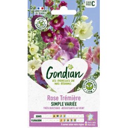GONDIAN Rose Trémière...