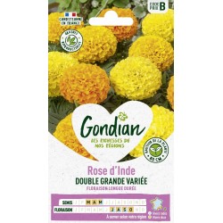 GONDIAN Rose d'Inde DOUBLE...