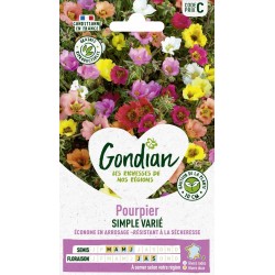 GONDIAN Pourpier SIMPLE...